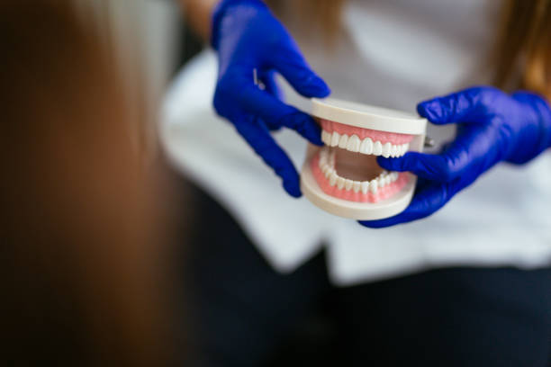 Best Dental Fillings (Composite and Amalgam)  in Pembroke Pines, FL